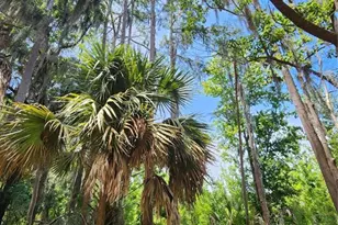 16950 Arrowhead Blvd, Winter Garden, FL 34787 - Photo 4