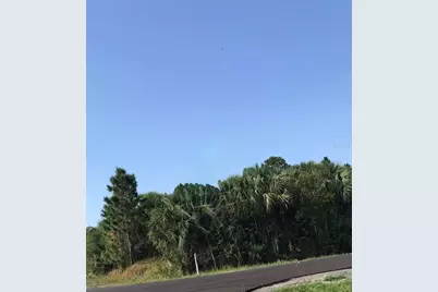 3262 La France Avenue SW, Palm Bay, FL 32908 - Photo 1