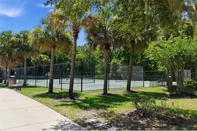 10546 Green Ivy Lane, Orlando, FL 32832 - Photo 48