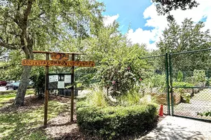 2316 Palm Tree Dr, Kissimmee, FL 34759 - Photo 64