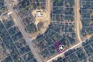 1625 W Delmane Dr, Dunnellon, FL 34434 - Photo 1