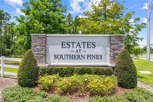 4035 Southern Vista Loop, Saint Cloud, FL 34772 - Photo 30