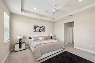 178 Mangrove Manor Dr, Apollo Beach, FL 33572 - Photo 16