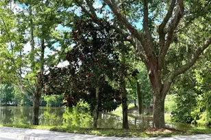 909 Waterside Ln, Celebration, FL 34747 - Photo 34