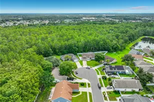 3020 Hartland Ct, Orlando, FL 32825 - Photo 88
