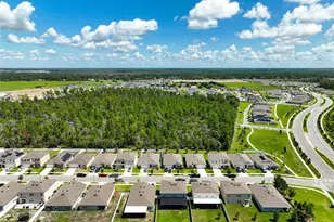 2533 Harmonia Hammock Rd, Harmony, FL 34773 - Photo 54