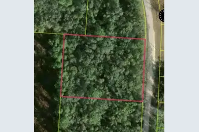 34253 Berryhill Drive, Ridge Manor Estates, FL 33597 - Photo 2