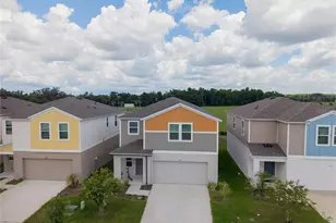 7917 Peace Lily Ave, Wesley Chapel, FL 33545 - Photo 4