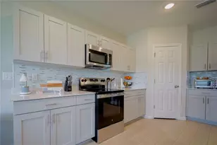 7917 Peace Lily Ave, Wesley Chapel, FL 33545 - Photo 10