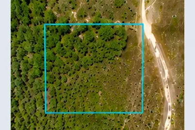 000, Malabar, FL 32950 - Photo 6