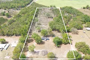 7457 NE Hwy 349, Old Town, FL 32680 - Photo 22