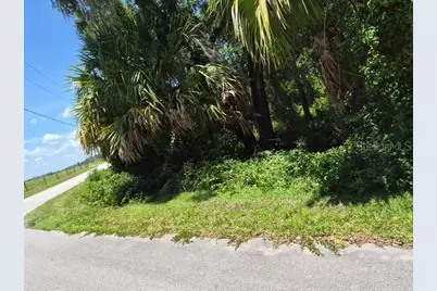 69 SE, Ocklawaha, FL 32179 - Photo 4