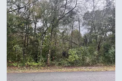 Nw 17 Place, Ocala, FL 34482 - Photo 1