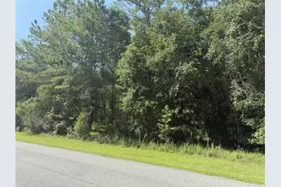 0 NW 148 Lane, Reddick, FL 32686 - Photo 8