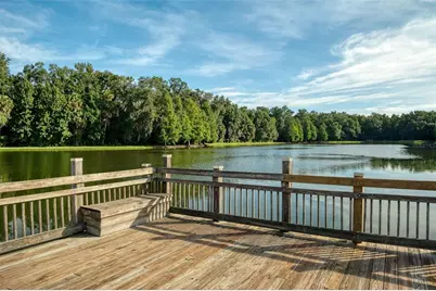 920 Pawstand Road, Celebration, FL 34747 - Photo 74