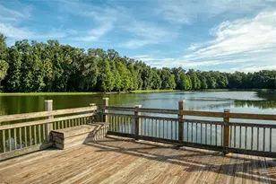 920 Pawstand Rd, Celebration, FL 34747 - Photo 74