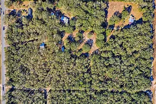 300 S US Hwy 129, Bell, FL 32619 - Photo 44