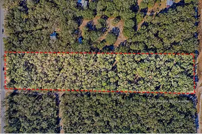 300 S US Highway 129, Bell, FL 32619 - Photo 48