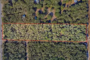 300 S US Hwy 129, Bell, FL 32619 - Photo 48
