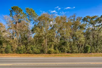 300 S US Highway 129, Bell, FL 32619 - Photo 26