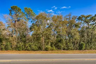 300 S US Hwy 129, Bell, FL 32619 - Photo 26