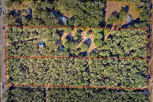 300 S US Hwy 129, Bell, FL 32619 - Photo 46