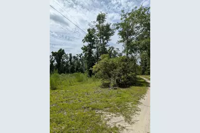 933 NE Fir St, Pinetta, FL 32350 - Photo 16