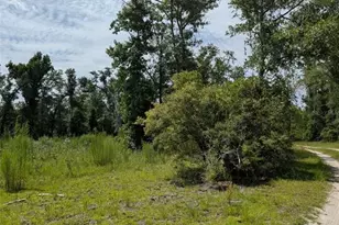 933 NE Fir St, Pinetta, FL 32350 - Photo 16