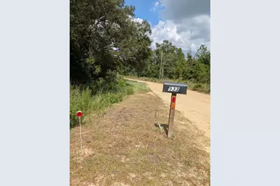 933 NE Fir St, Pinetta, FL 32350 - Photo 2