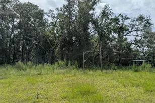 933 NE Fir St, Pinetta, FL 32350 - Photo 20