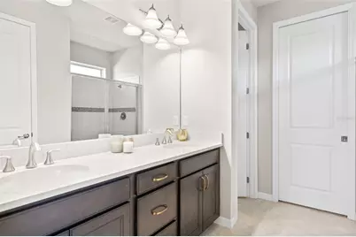 19284 Briarbrook Drive, Tampa, FL 33647 - Photo 24