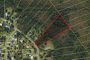 Mustang Ct, Saint Cloud, FL 34771 - Photo 1