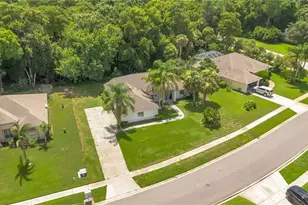 3739 Sunrise Oaks Dr, Port Orange, FL 32129 - Photo 10