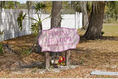 1023 Spring Meadow Drive #1023, Kissimmee, FL 34741 - Photo 24