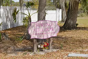 1023 Spring Meadow Dr, Kissimmee, FL 34741 - Photo 24