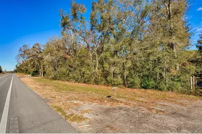 S US Hwy 129, Bell, FL 32619 - Photo 2