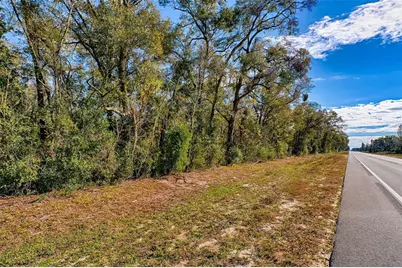 S US Hwy 129, Bell, FL 32619 - Photo 4