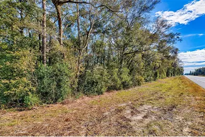 S US Hwy 129, Bell, FL 32619 - Photo 1