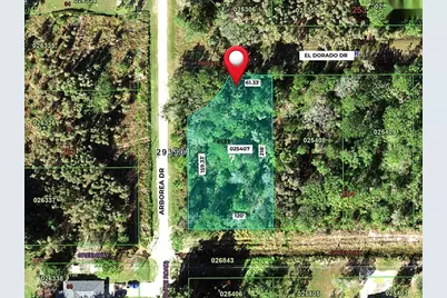 Blk 254 Lot 7 El Dorado Drive, Indian Lake Estates, FL 33855 - Photo 8