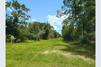 Blk 254 Lot 7 El Dorado Drive, Indian Lake Estates, FL 33855 - Photo 1