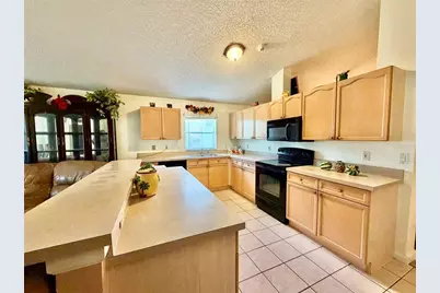 2319 Lily Pad Lane, Kissimmee, FL 34743 - Photo 8