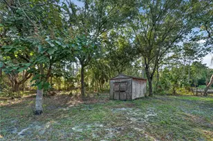 3385 Woodberry Ct, Kissimmee, FL 34746 - Photo 44