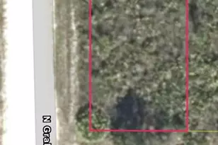 3040 W Hasbrouck Rd, Avon Park, FL 33825 - Photo 1