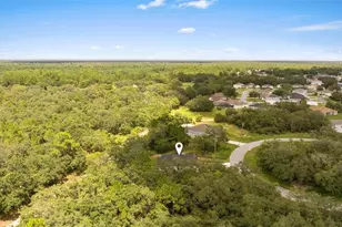 1627 Pickerel Ct, Poinciana, FL 34759 - Photo 38