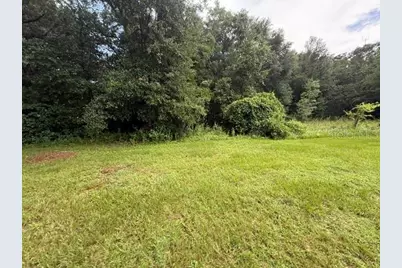 21450 NE 35th Street, Williston, FL 32696 - Photo 14