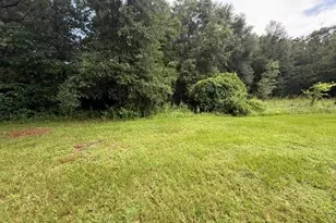 21450 NE 35 St, Williston, FL 32696 - Photo 14
