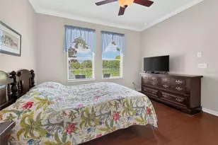 14125 Oasis Cove Boulevard, Windermere, FL 34786 - Photo 20