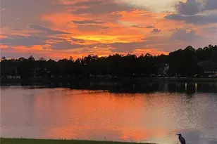 14125 Oasis Cove Boulevard, Windermere, FL 34786 - Photo 44