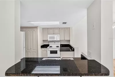 2204 Fan Palm Drive, Davenport, FL 33897 - Photo 12