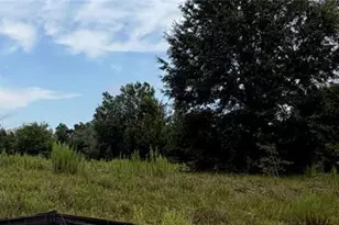 Tbd Southwest 109th Pl, Dunnellon, FL 34432 - Photo 1